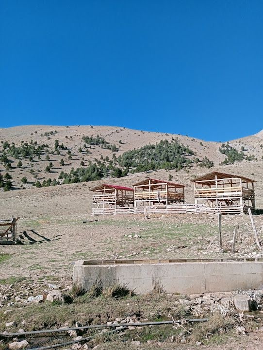 Yaşar Fırın