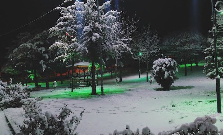 Yaşar Irak Çay Bahçesi