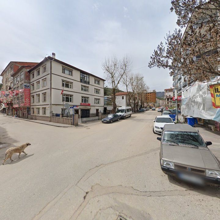 Fotoğraf 9