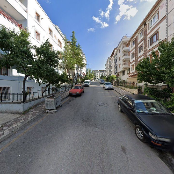 Fotoğraf 7