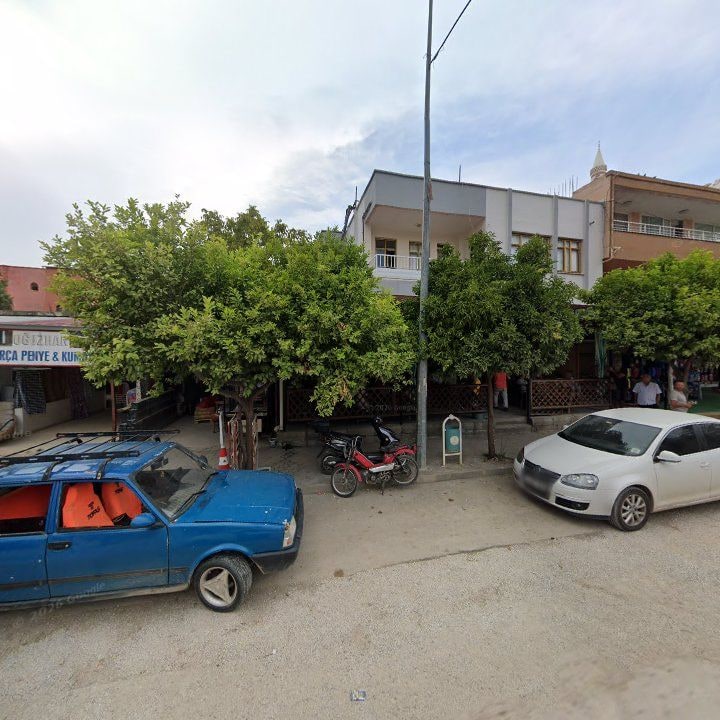Fotoğraf 3