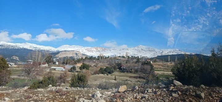 Yayla Çavdır