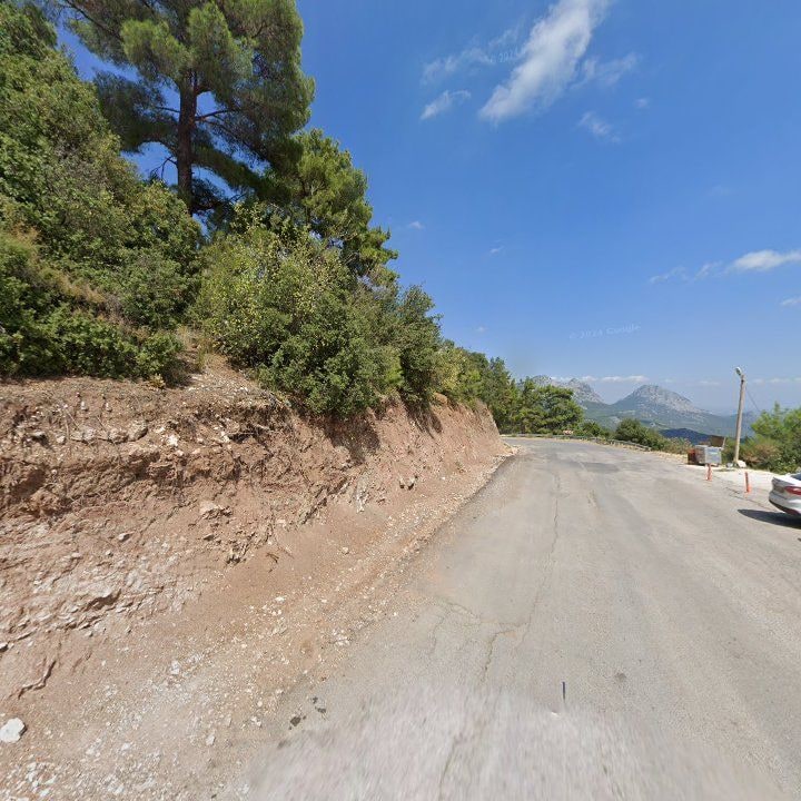 Fotoğraf 11