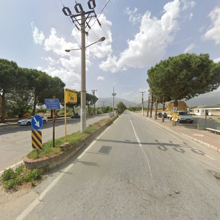 Fotoğraf 14