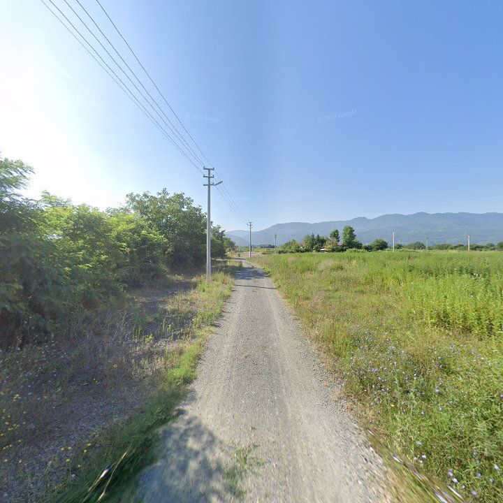 Fotoğraf 10
