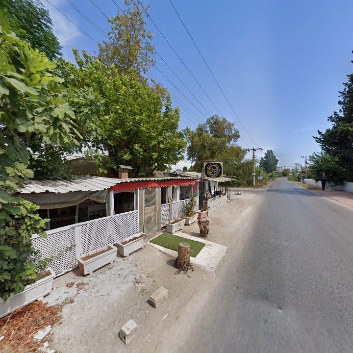 Fotoğraf 10