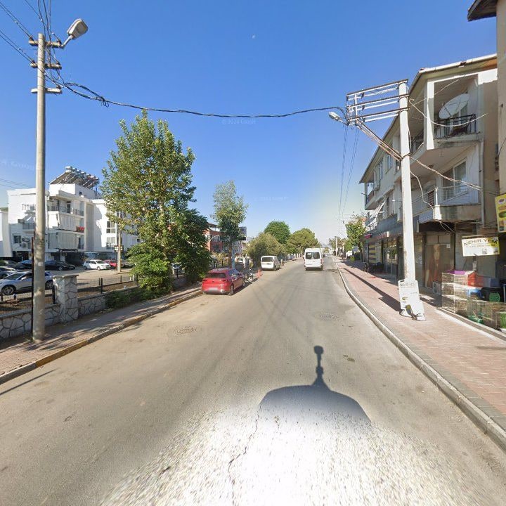 Fotoğraf 8