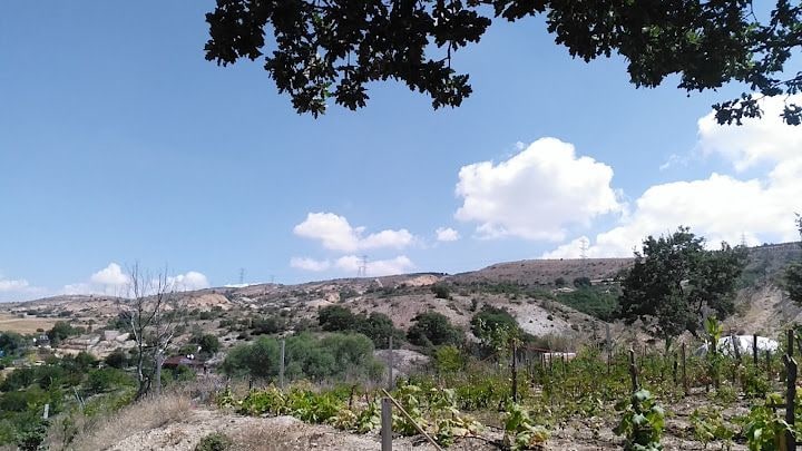 Yazgan Bahçesi, Yeşilvadi