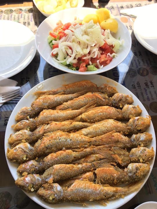 Fotoğraf 7