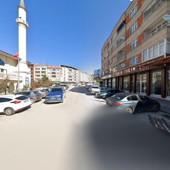 Fotoğraf 12
