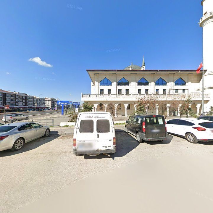 Fotoğraf 11
