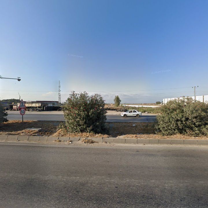 Fotoğraf 11