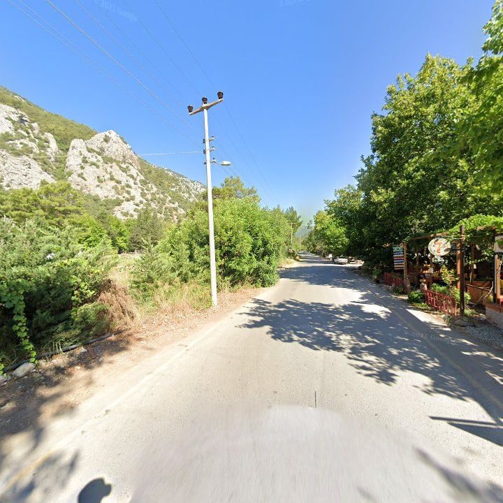 Fotoğraf 14