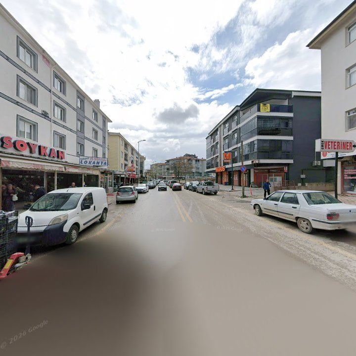 Fotoğraf 8