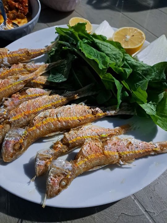 Yelken Balıkevi