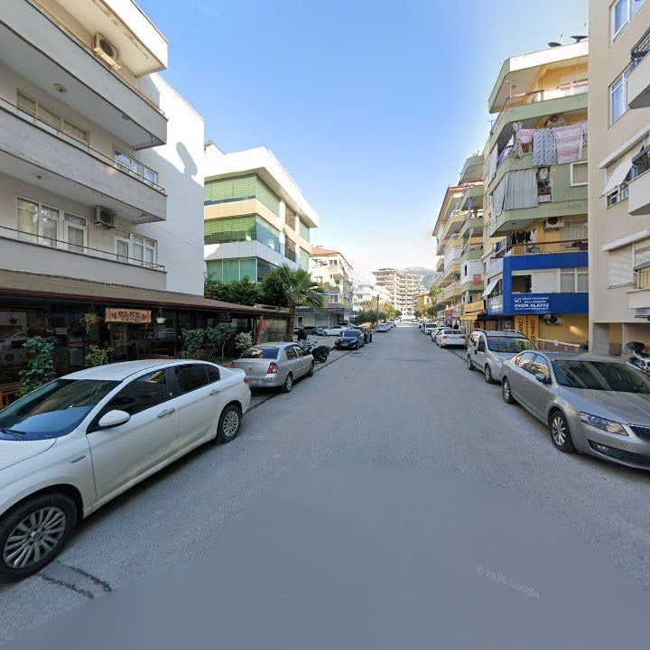 Fotoğraf 8