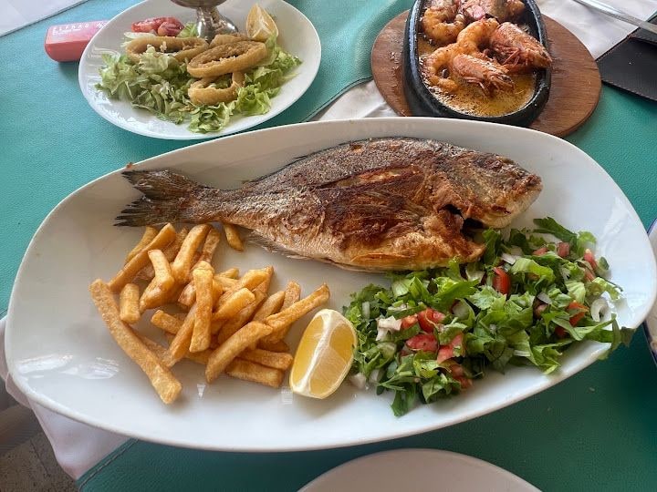 Fotoğraf 7