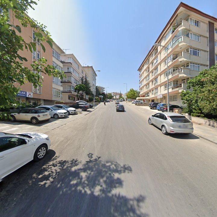 Fotoğraf 10