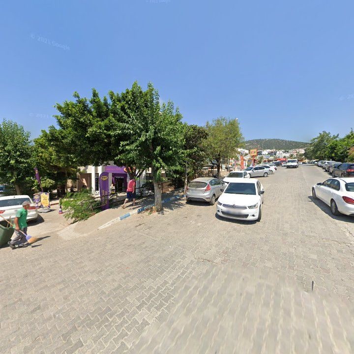 Fotoğraf 12