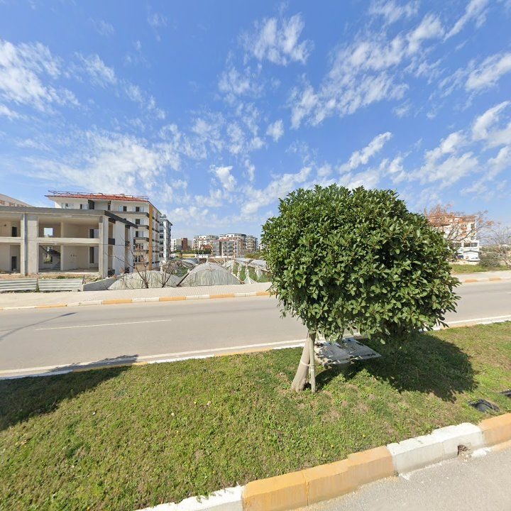 Fotoğraf 10