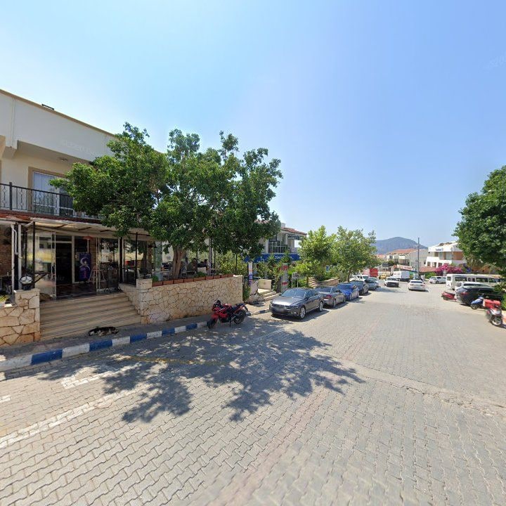 Fotoğraf 8