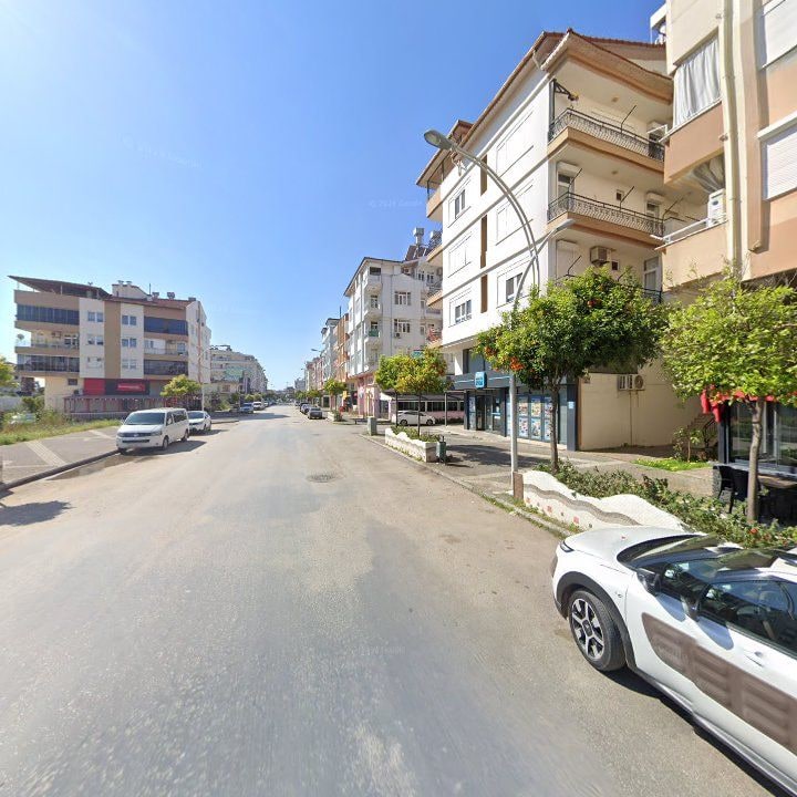 Fotoğraf 10
