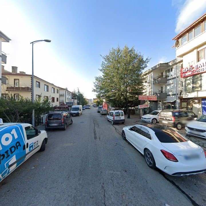 Fotoğraf 6