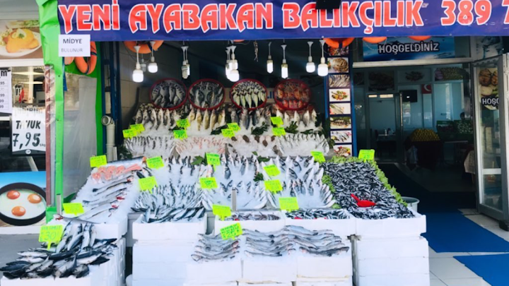 Yeni Ayabakan Balik & Pişirme Evi