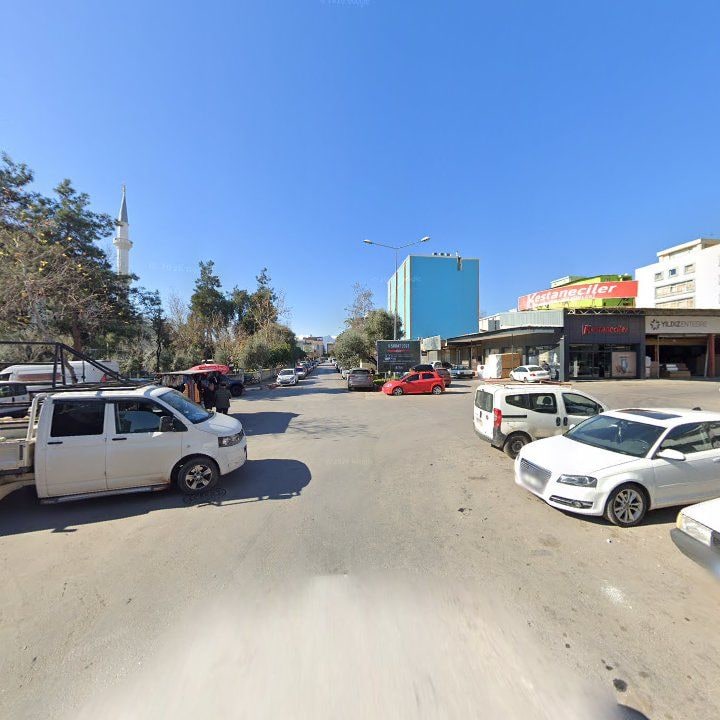 Fotoğraf 7