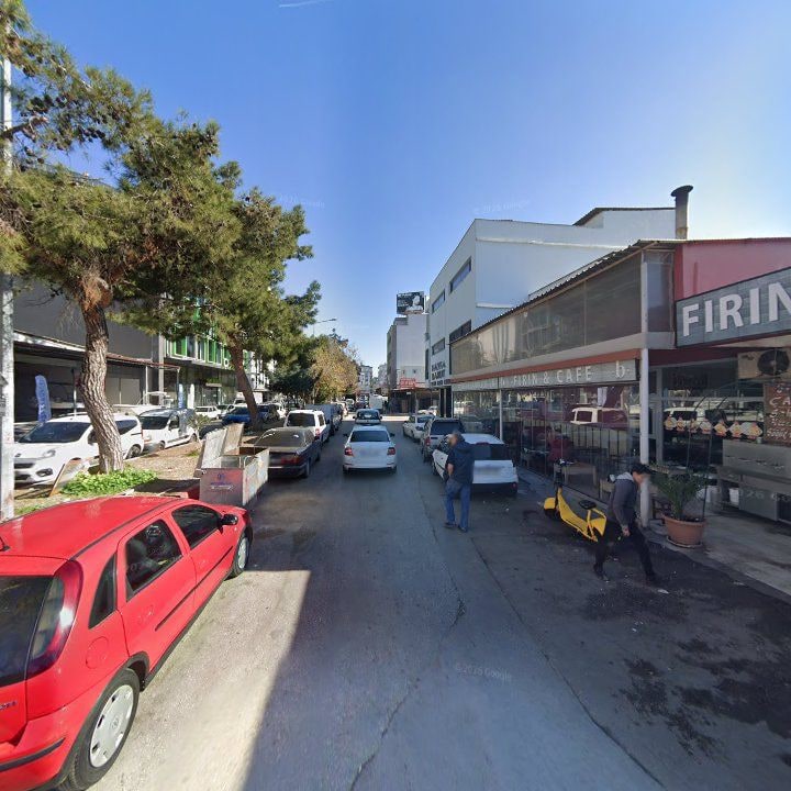 Fotoğraf 9