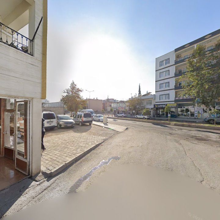 Fotoğraf 3