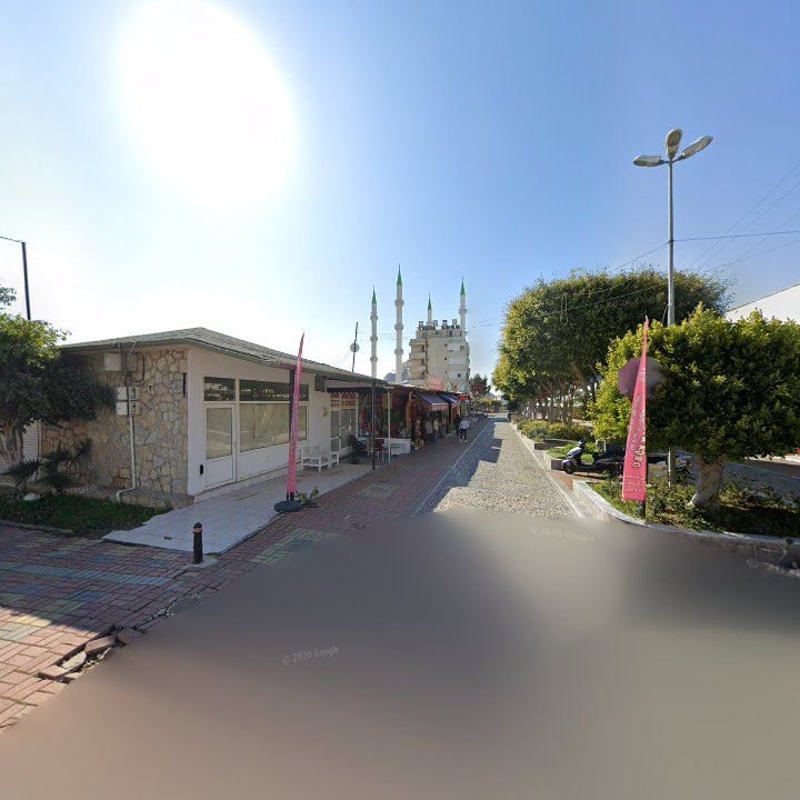 Fotoğraf 11