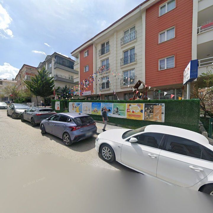 Fotoğraf 9