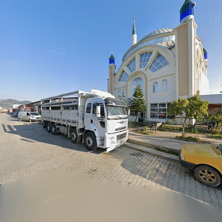Fotoğraf 3
