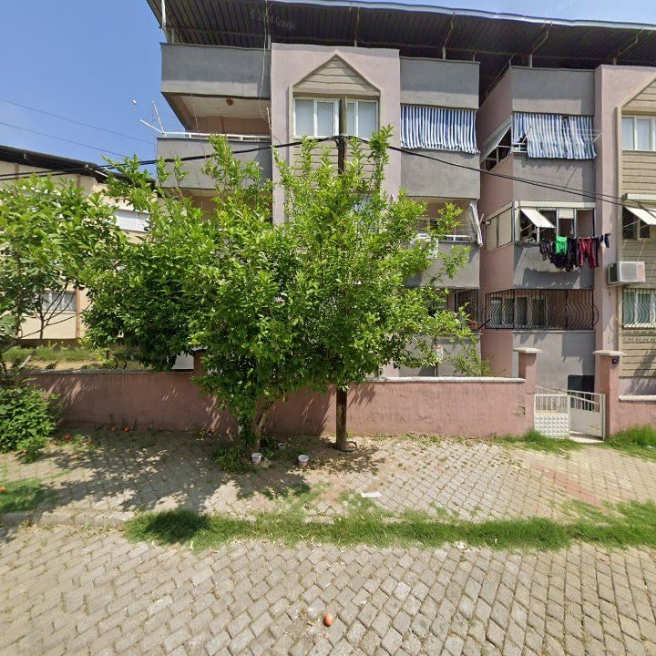Fotoğraf 11