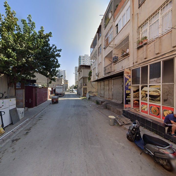Fotoğraf 7