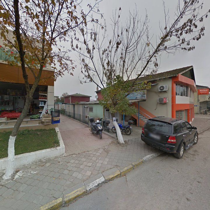 Fotoğraf 7