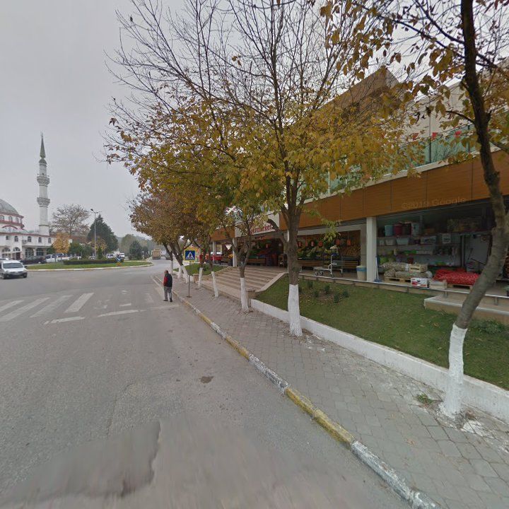 Fotoğraf 6