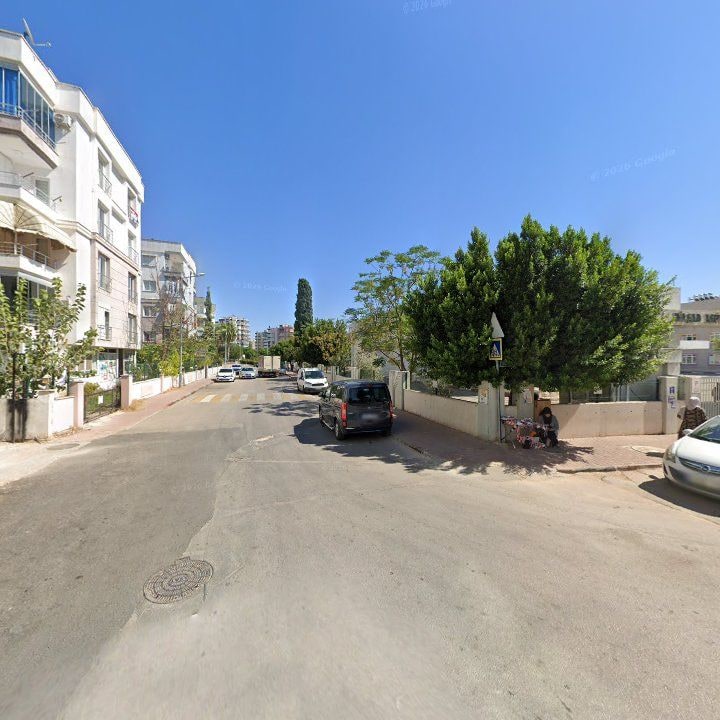 Fotoğraf 8