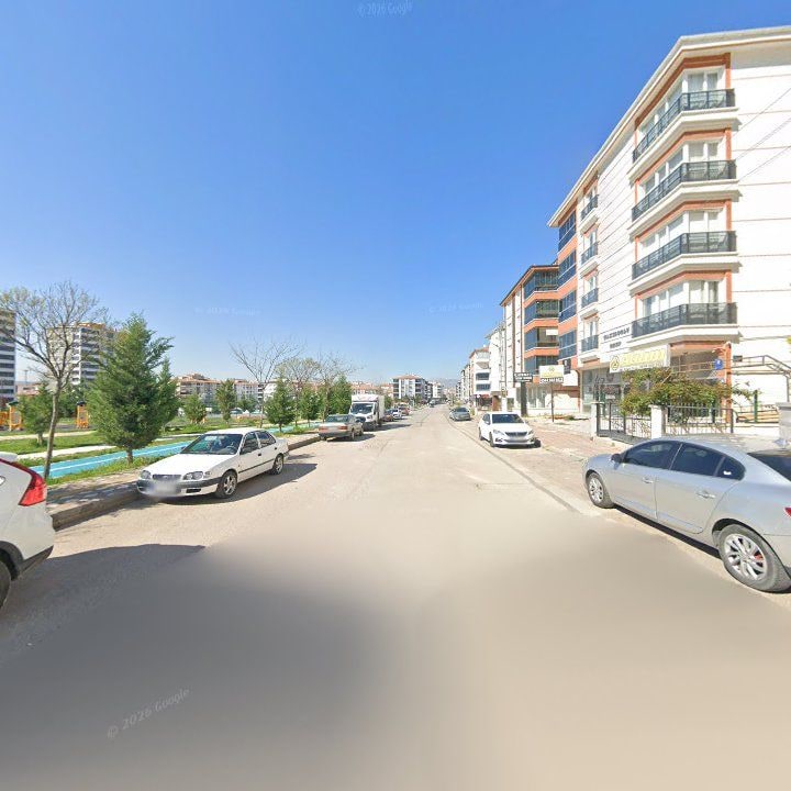 Fotoğraf 12