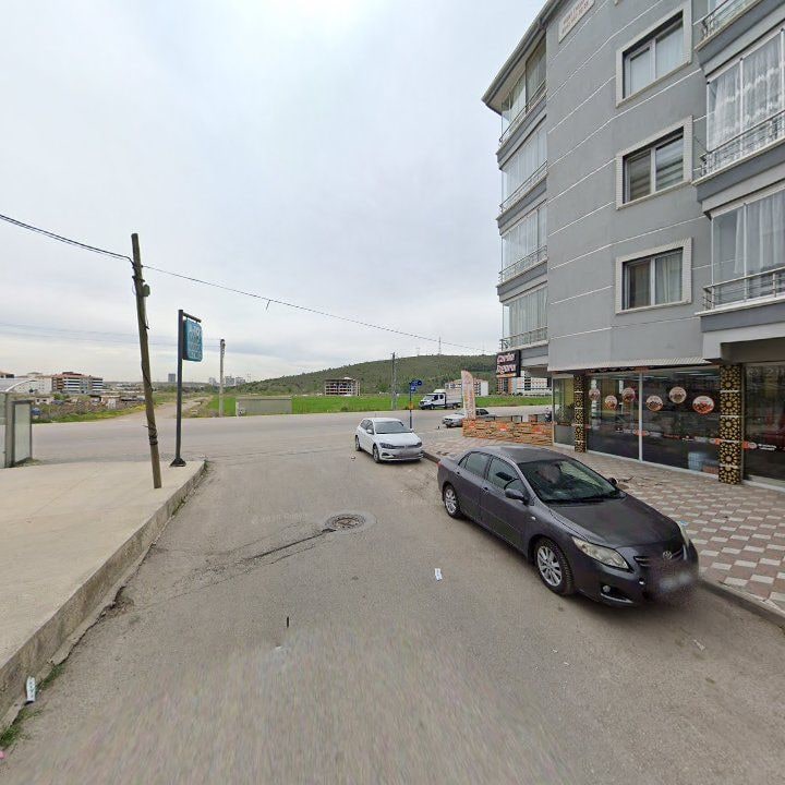 Fotoğraf 8