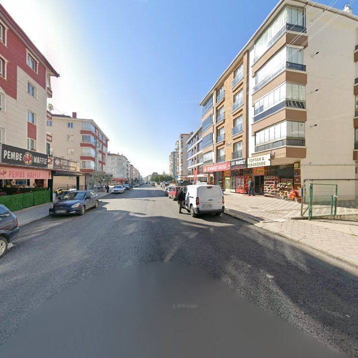 Fotoğraf 8