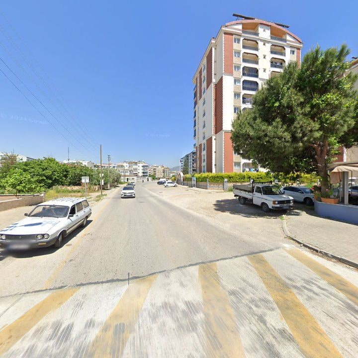 Fotoğraf 11