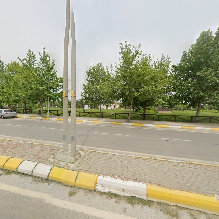 Fotoğraf 7