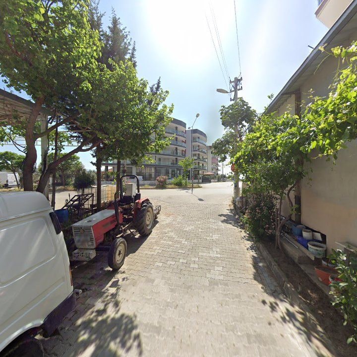 Fotoğraf 8