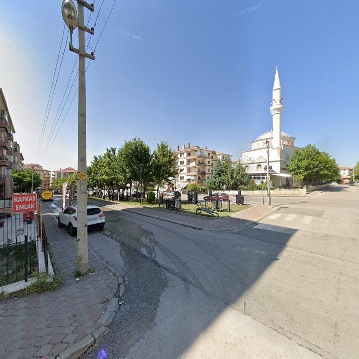 Fotoğraf 3