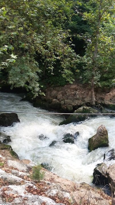 Yerköprü Dinlenme Ve Piknik Alanı