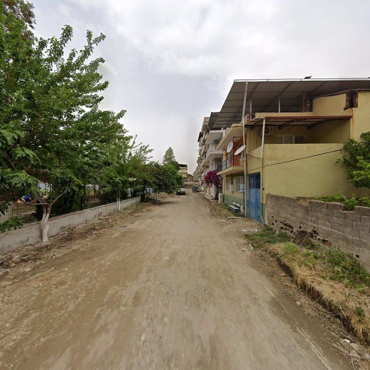 Fotoğraf 6