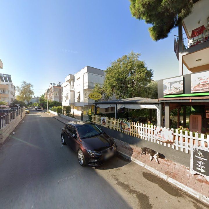 Fotoğraf 8
