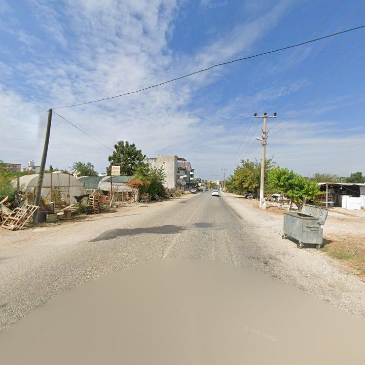 Fotoğraf 7